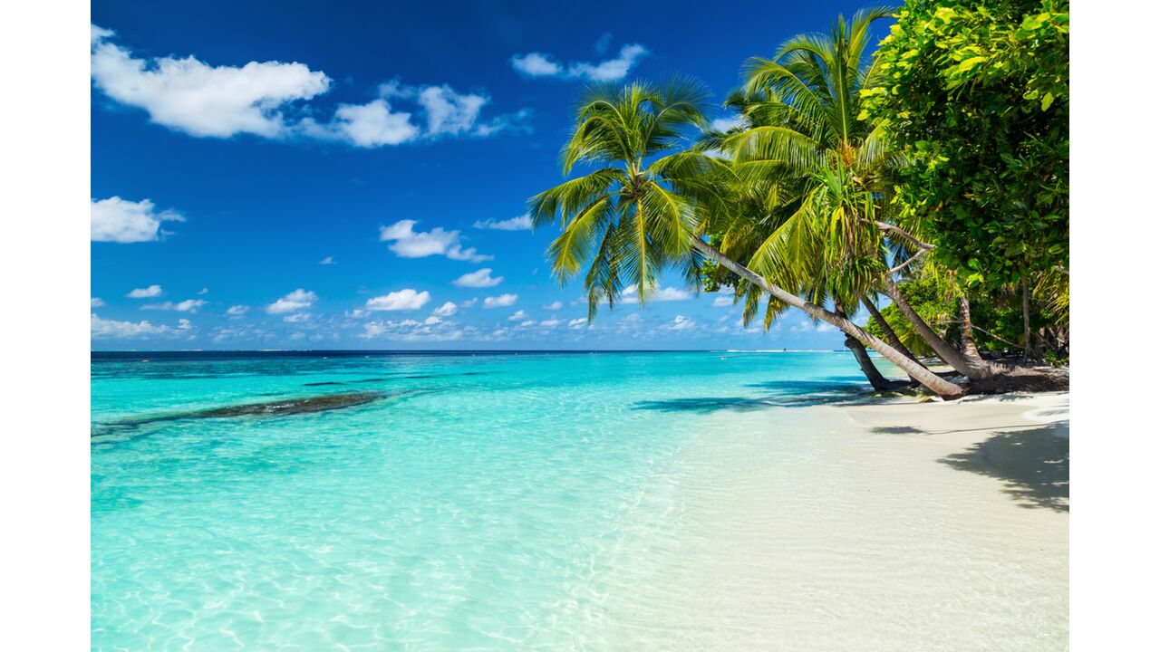 Illustratie voor: Temptation Island Mezdi kruipt gewoon weer achter het stuur na inname rijbewijs