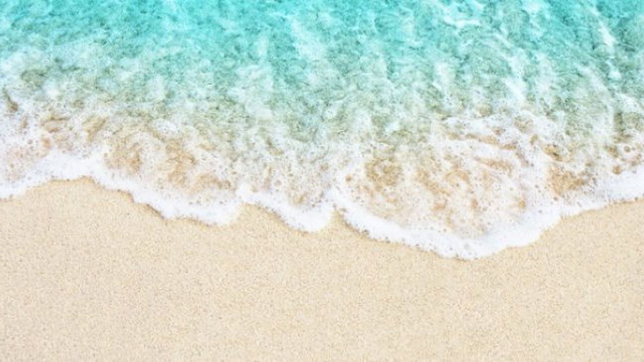 Illustratie voor: Dit is de leukste haaraccessoire voor zomer 2018