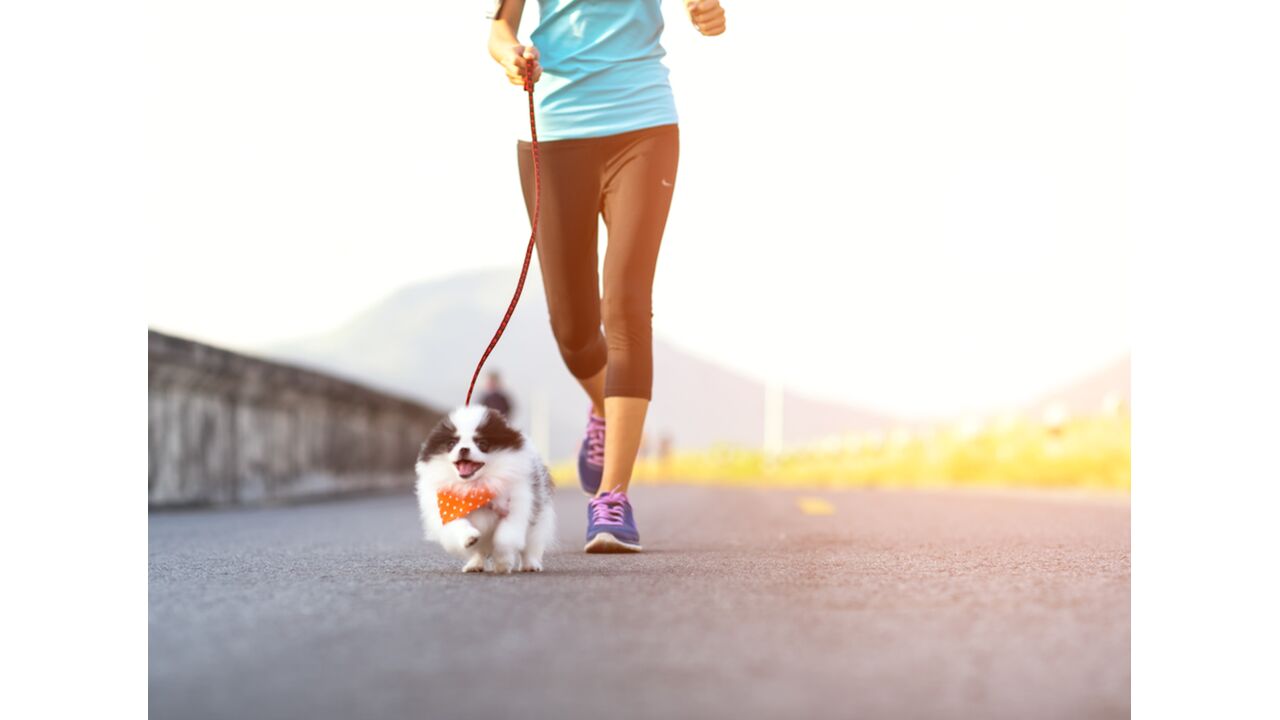 Illustratie voor: Hilarisch: Er bestaat nu een fitness-app voor je hond