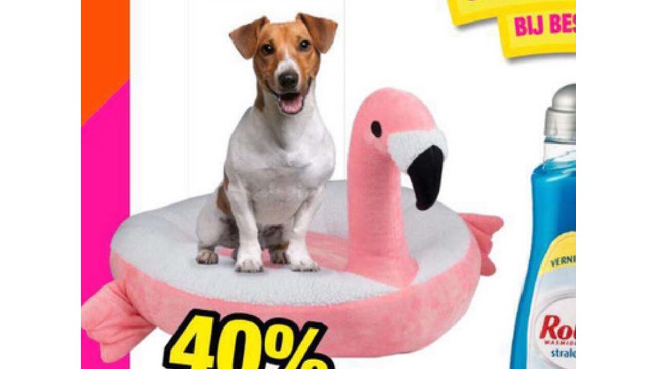 Illustratie voor: Dit flamingo-kussen móet jouw hond hebben