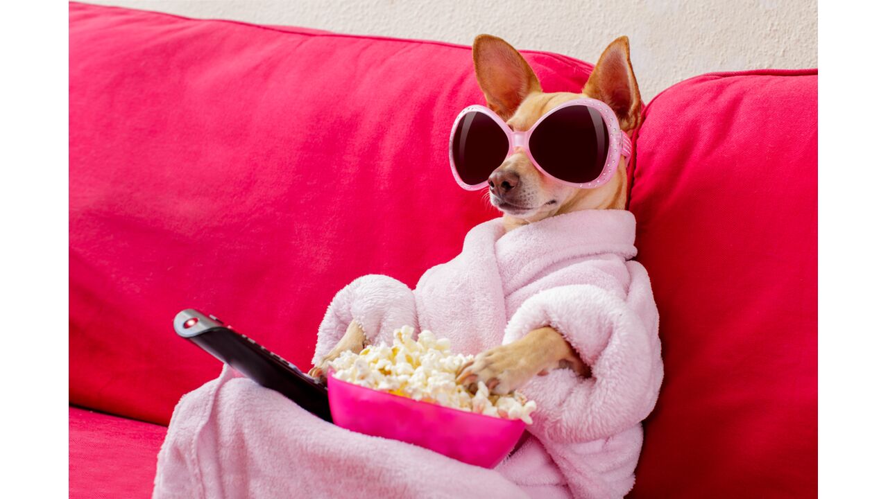 Illustratie voor: Deze films en series verschijnen & verdwijnen in juni 2018 op Netflix