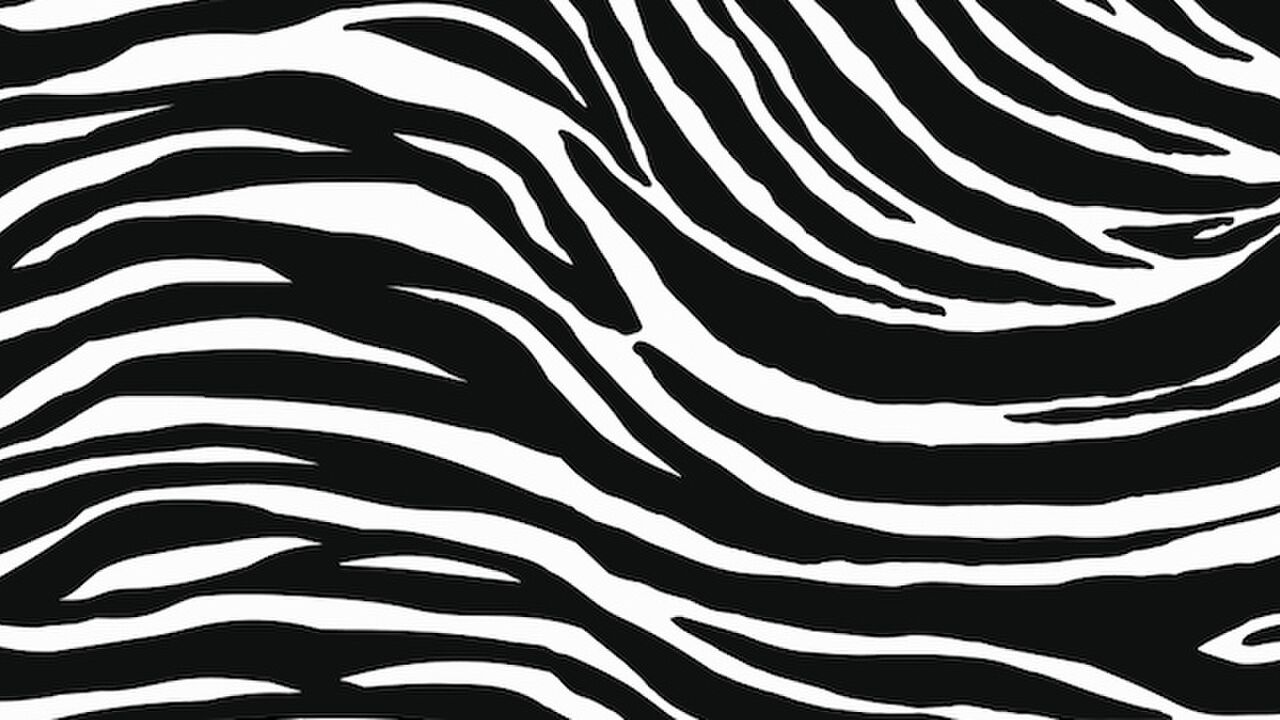 Illustratie voor: Deze dierenprint ga je vanaf nu overal zien