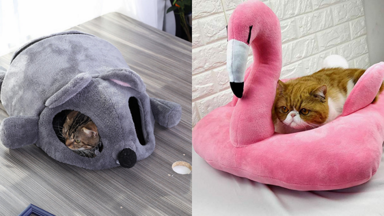 Illustratie voor: AliExpress verkoopt dierenbedjes voor je viervoeter waar je zélf in wil liggen