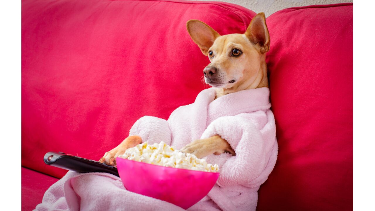 Illustratie voor: Deze series en films zijn nieuw op Videoland