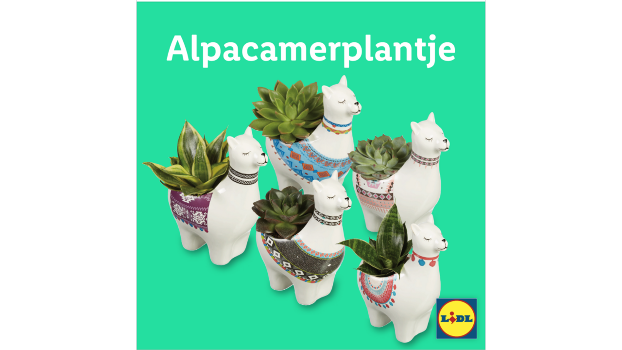 Illustratie voor: Aanbiedingen week 37: dit zijn de beste koopjes