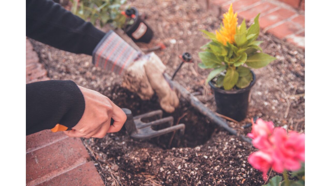 Illustratie voor: Plantenmama’s opgelet: met deze tips word jij een echte pro in tuinieren