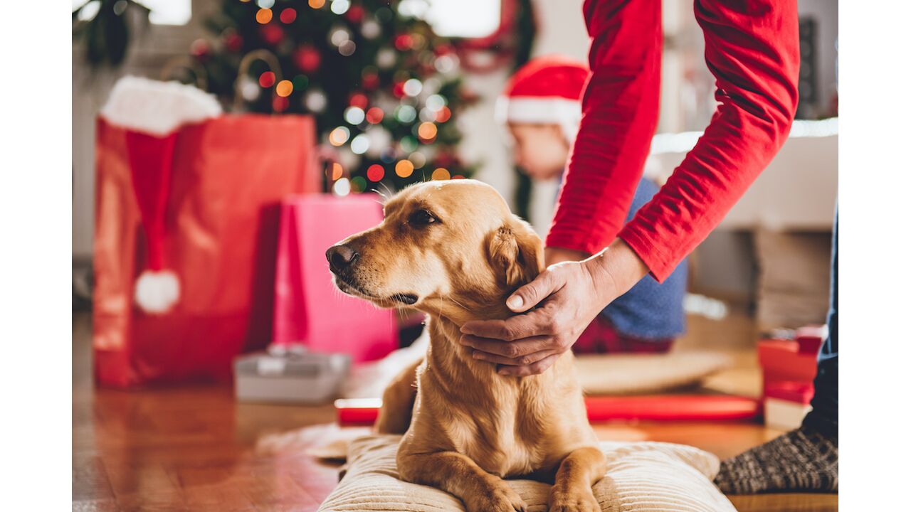 Illustratie voor: Dit zijn de leukste cadeau’s om deze kerst aan hem te geven