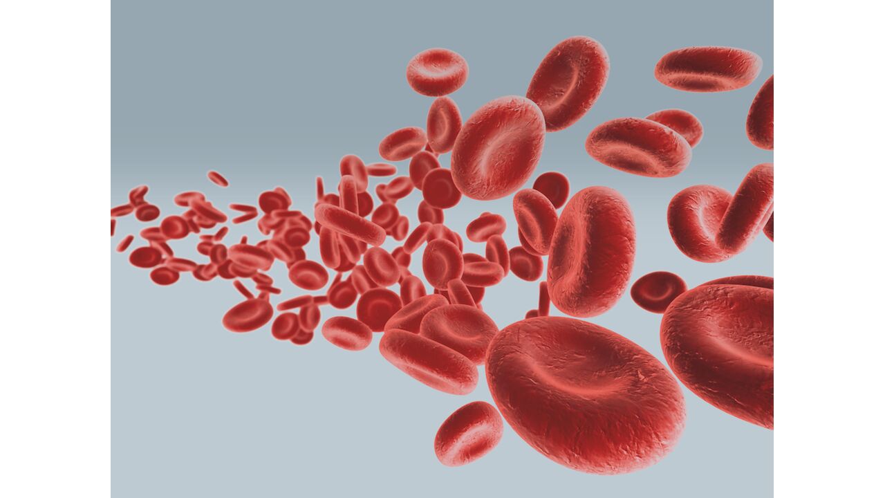 Illustratie voor: Happy 2021: dit is waarom bloeddonor worden van levensbelang is