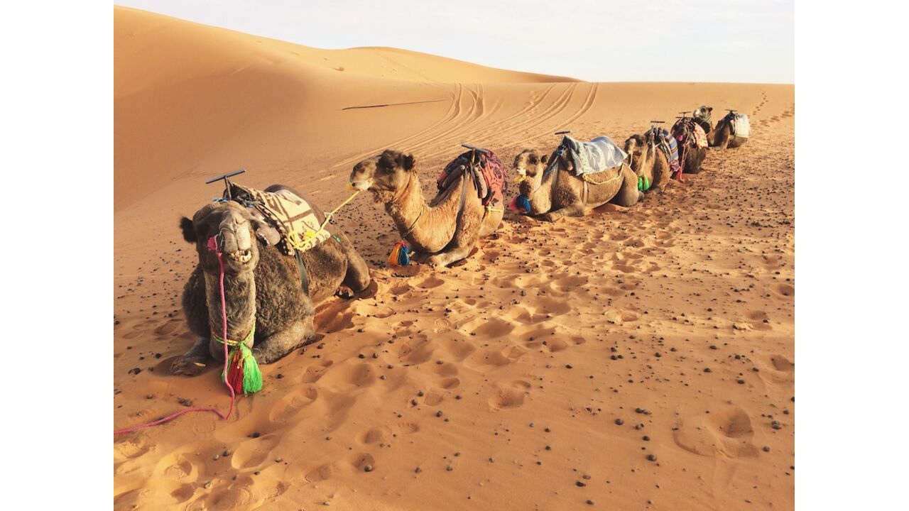 Illustratie voor: Dit zijn alle redenen om Egypte op je bucketlist te zetten