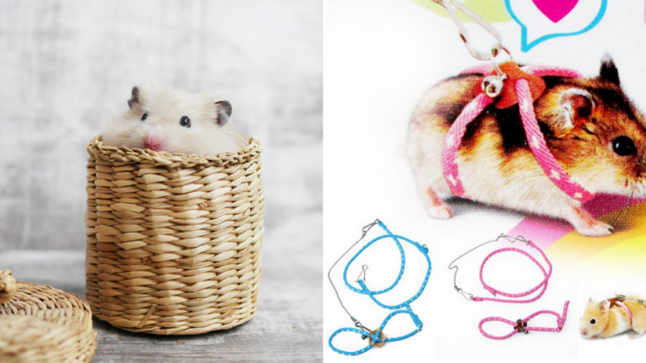 Illustratie voor: Deze AliExpress producten zijn zó raar dat je ze wil hebben