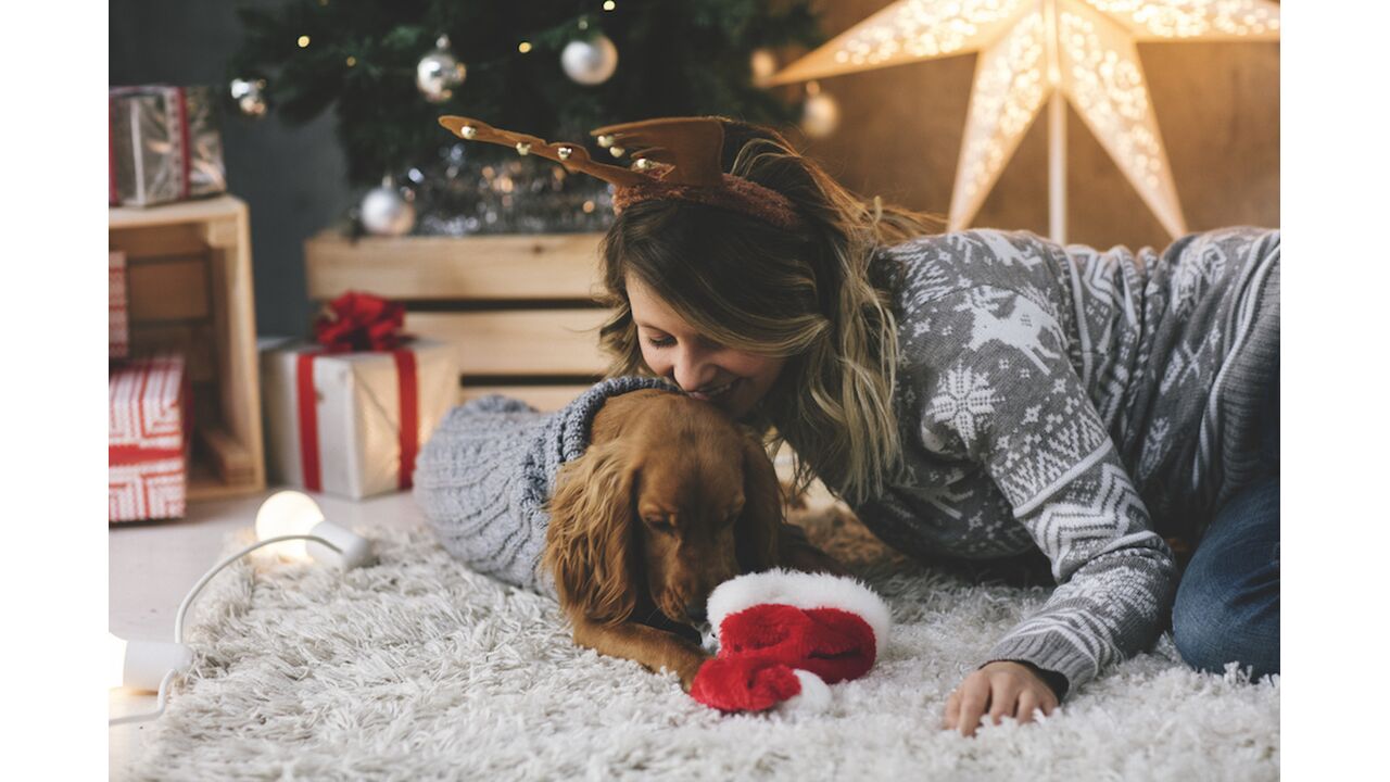 Illustratie voor: H&M verkoopt matching sweaters voor jou en je hond