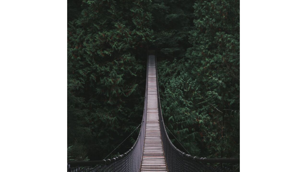 Illustratie voor: Wauw! Deze hangbrug is echt prachtig en bengelt in buurland Duitsland