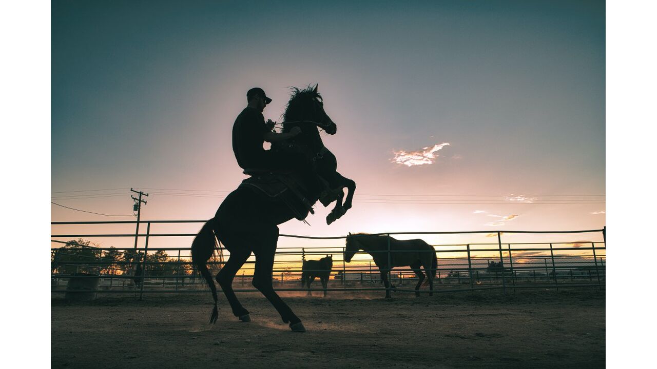 Illustratie voor: Howdy: van deze 10 knappe cowboys word je sowieso vrolijk