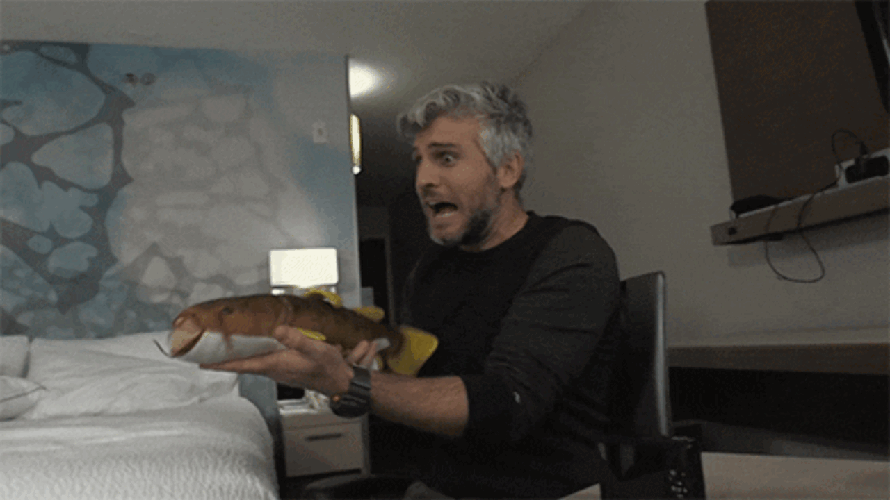 Illustratie voor: Wtf: dit zijn de drie meest bizarre catfish-verhalen