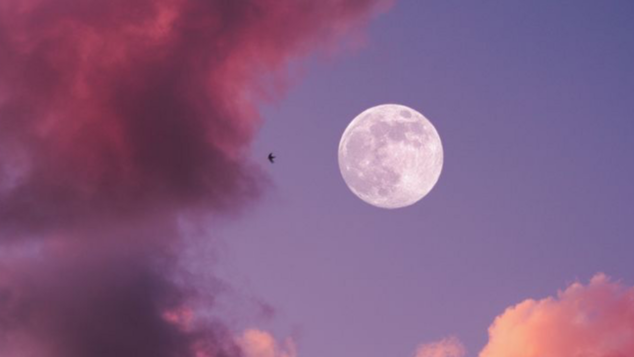 volle-maan-oktober