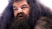 Illustratie voor: Zo ziet Hagrid uit Harry Potter er in het echte leven uit