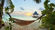 Illustratie voor: Dreamjob alert: AirBnB zoekt professionele chillers voor op de Bahama’s