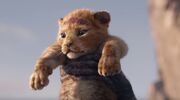 Illustratie voor: Dit is alles wat we weten over The Lion King deel 2