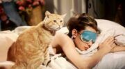 Audrey Hepburn in Breakfast at Tiffany's. Ze ligt op bed met een kat naast haar.