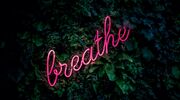 Illustratie voor: Just breathe: dit is de makkelijkste manier om te leren mediteren