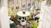 Illustratie voor: Hello spring: met deze 5 tips maak jij je balkon of tuin lenteproof