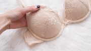 Illustratie voor: Deze items zijn perfect voor meiden met big boobies