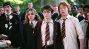 Harry, Hermione en Ron uit Harry Potter.