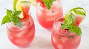 watermelon-mojito