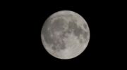 De maan