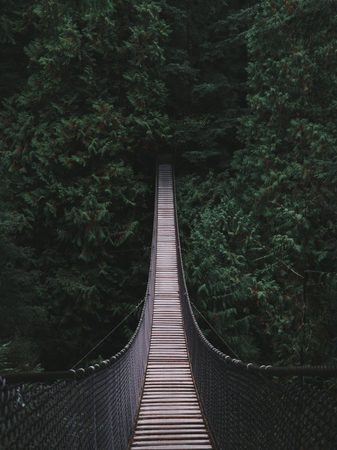 Wauw! Deze hangbrug is echt prachtig en bengelt in buurland Duitsland