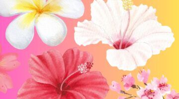 Illustratie van bloemen.