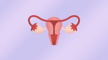 Foto van een baarmoeder.