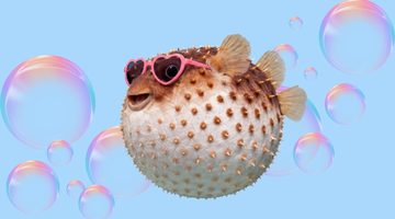 Doe jij d&iacute;t tijdens het daten? Dan ben jij volgens TikTok een &lsquo;pufferfish&rsquo;