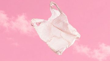 Plastic bag.