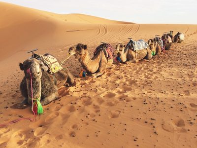 Illustratie voor: Dit zijn alle redenen om Egypte op je bucketlist te zetten