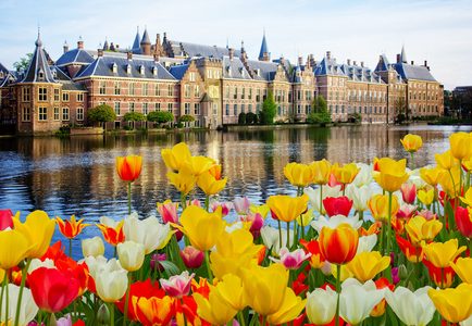 Illustratie voor: Deze uitspraken ken je alleen als je uit Den Haag komt