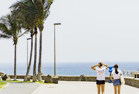 Illustratie voor: De tweede proefvakantie gaat naar Gran Canaria (en jij kunt je nog aanmelden)