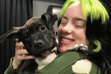 Illustratie voor: Time to eat! Dit is wat Billie Eilish eet op een dag!