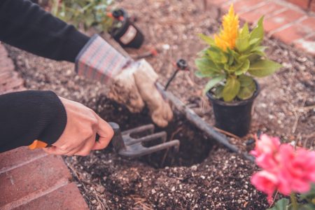 Illustratie voor: Plantenmama’s opgelet: met deze tips word jij een echte pro in tuinieren