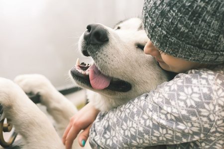 Illustratie voor: Test: hoe intelligent is jouw hond?