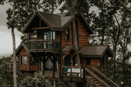 Illustratie voor: Boomhutten in de Ardennen: deze unieke accommodaties zijn perfect voor een weekendje weg