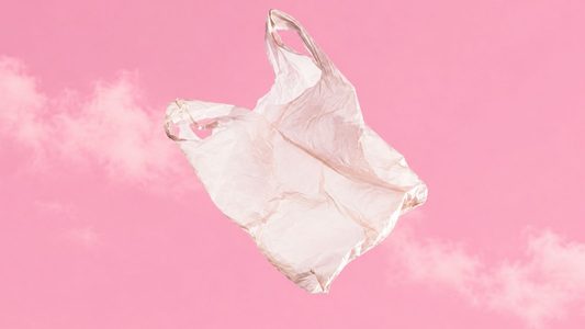 Plastic bag.