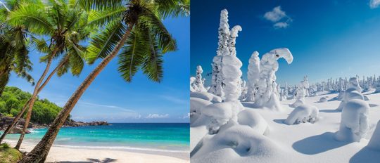 Illustratie voor: Quiz: Ben jij een winter- of een zomermens?