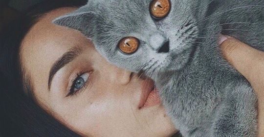 Voor alle catladies: 9 tekenen dat jouw kat (te) verwend is