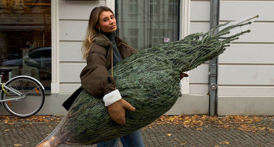 Een meisje met een kerstboom in haar hand.