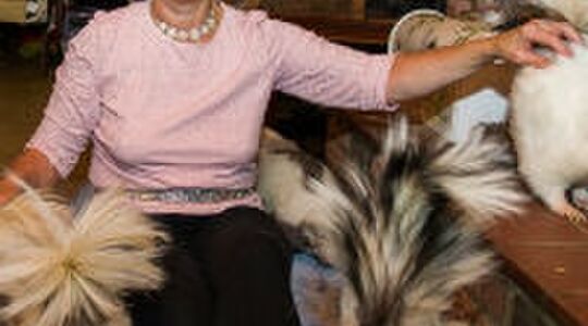 Illustratie voor: De vrouw met 50 stinkdieren in huis
