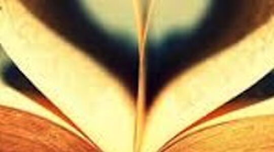 Illustratie voor: Young adult top-5: oktober