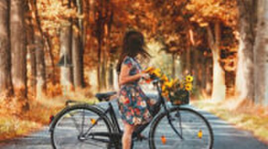 Illustratie voor: Zo maak jij jouw fiets winterklaar