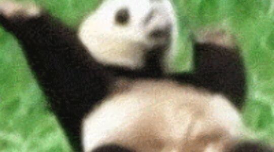 Illustratie voor: 26 grappige GIFjes