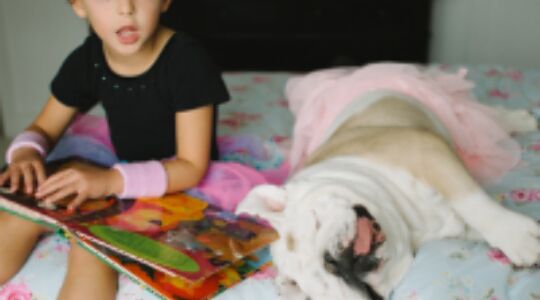 Illustratie voor: Harper & Lola: twee beste vriendinnen